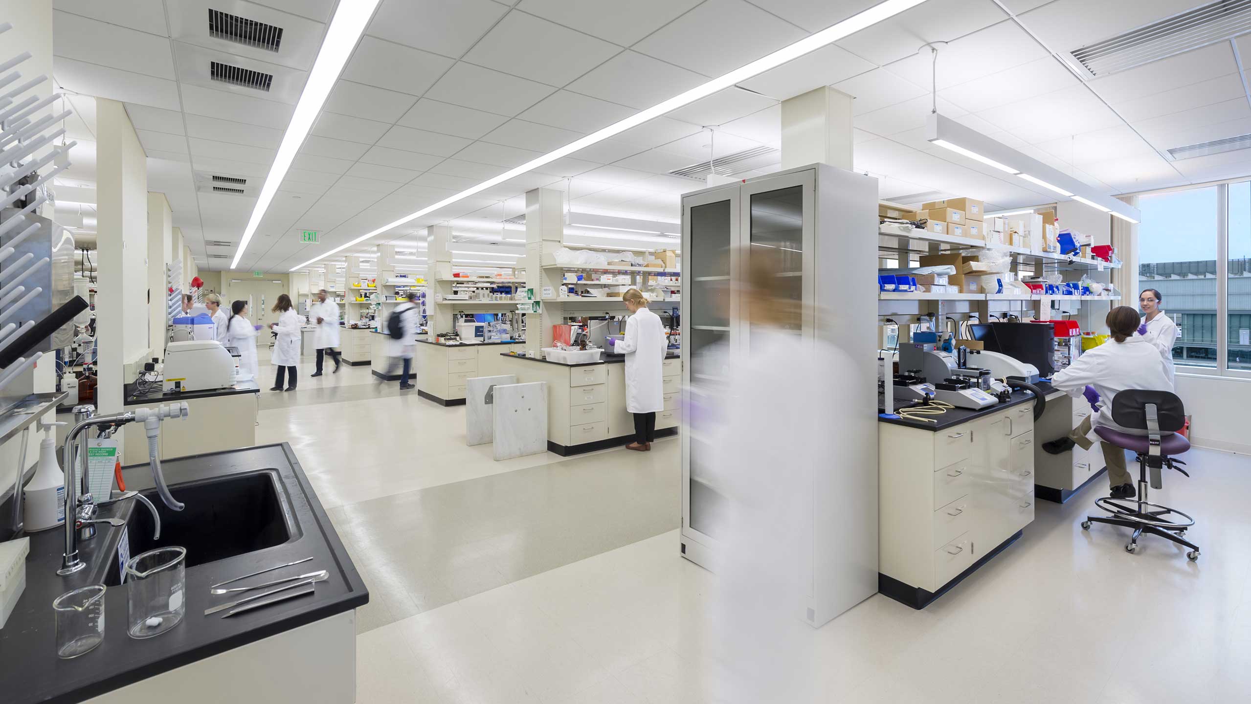 Vertex Pharmaceuticals Laboratory